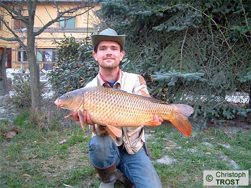 Zur�ck zu Karpfen 2003