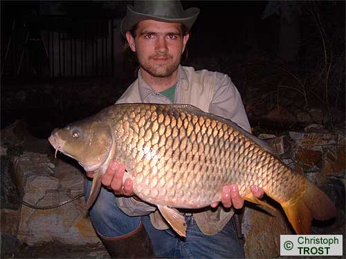 Zur�ck zu Karpfen 2003