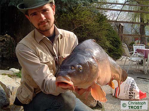 Zur�ck zu Karpfen 2003