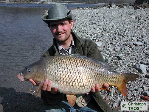 Zur�ck zu Karpfen 2003