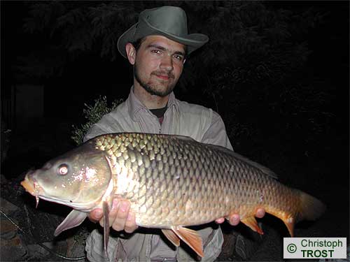 Zur�ck zu Karpfen 2003