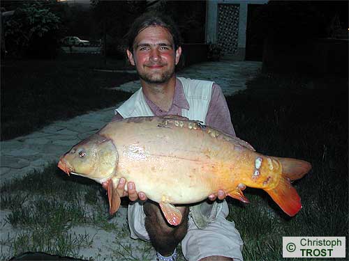 Zur�ck zu Karpfen 2003