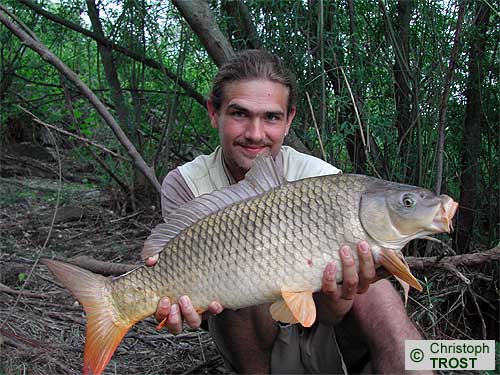 Zur�ck zu Karpfen 2003