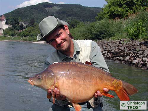Zur�ck zu Karpfen 2003