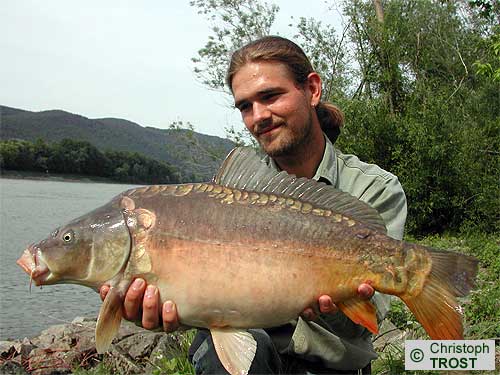 Zur�ck zu Karpfen 2003