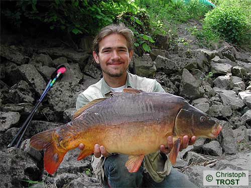 Zur�ck zu Karpfen 2003