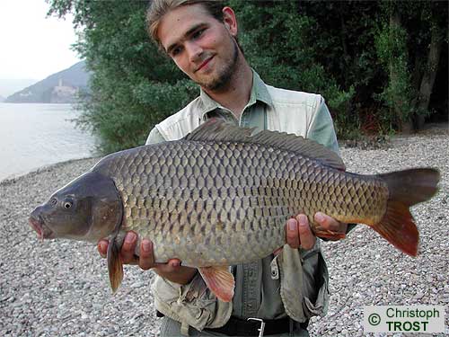 Zur�ck zu Karpfen 2003