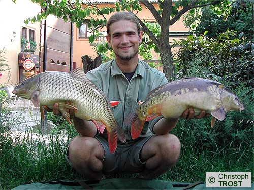 Zur�ck zu Karpfen 2003