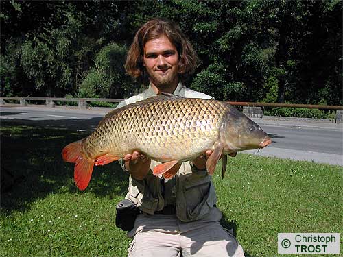 Zur�ck zu Karpfen 2003