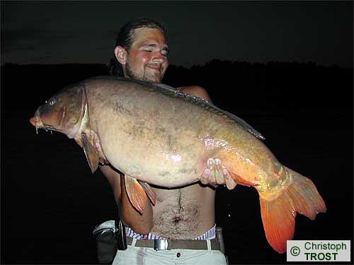 Zur�ck zu Karpfen 2003