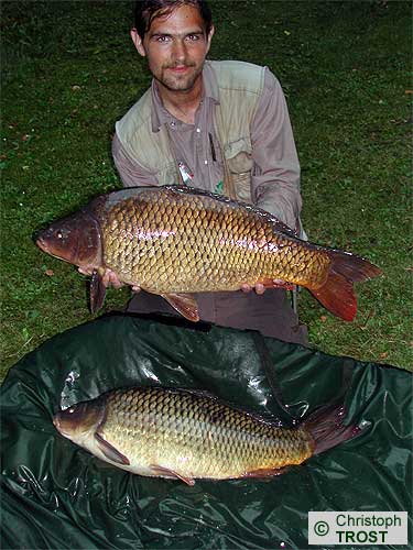 Zur�ck zu Karpfen 2003