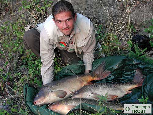Zur�ck zu Karpfen 2003