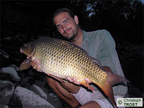 Zur�ck zu Karpfen 2003