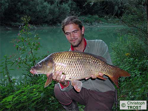 Zur�ck zu Karpfen 2003