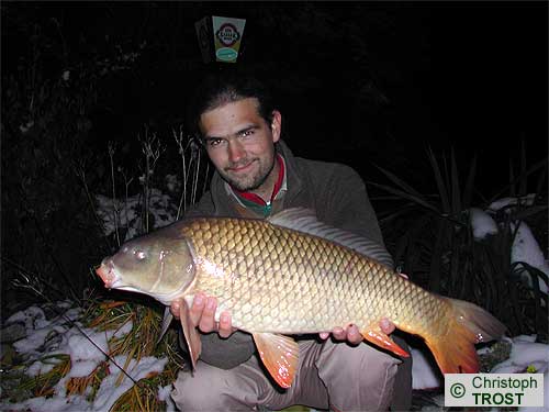 Zur�ck zu Karpfen 2003