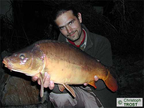 Zur�ck zu Karpfen 2003