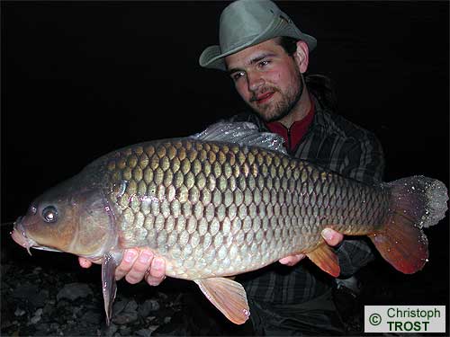 Zur�ck zu Karpfen 2004