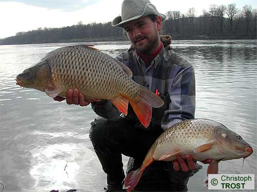 Zur�ck zu Karpfen 2004