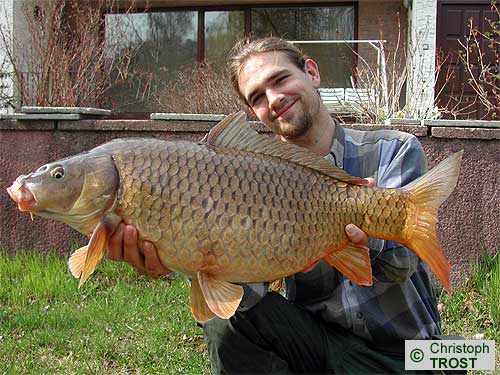 Zur�ck zu Karpfen 2004