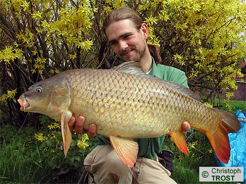 Zur�ck zu Karpfen 2004