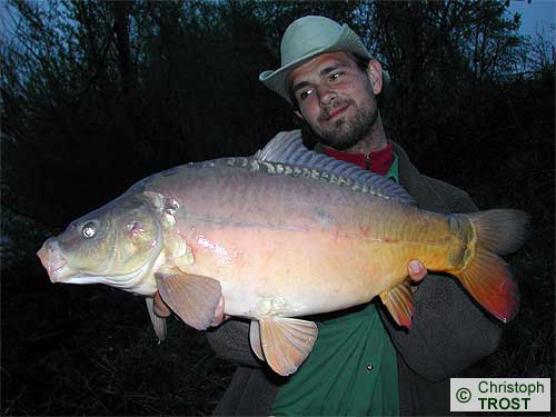 Zur�ck zu Karpfen 2004