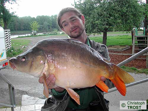 Zur�ck zu Karpfen 2004