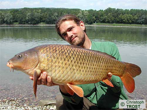 Zur�ck zu Karpfen 2004