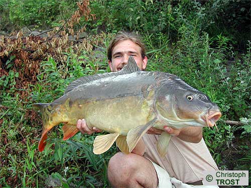 Zur�ck zu Karpfen 2004