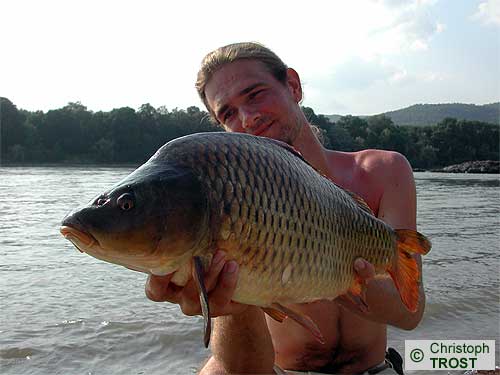 Zur�ck zu Karpfen 2004