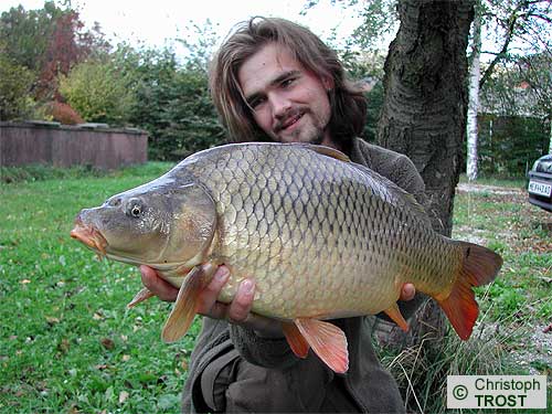 Zur�ck zu Karpfen 2004