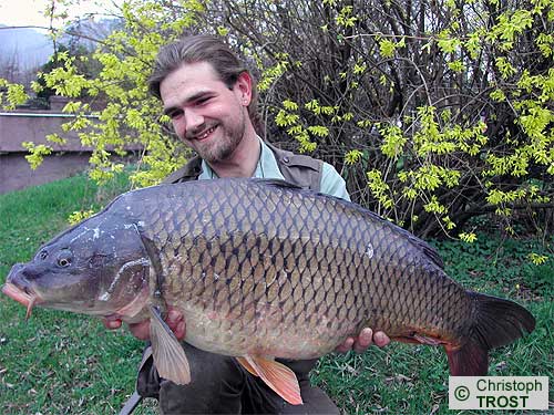 Zur�ck zu Karpfen 2005