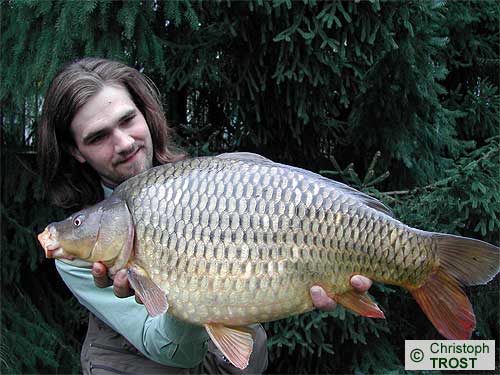 Zur�ck zu Karpfen 2005