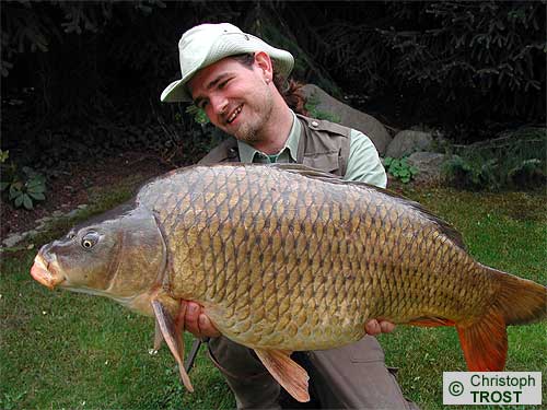 Zur�ck zu Karpfen 2005