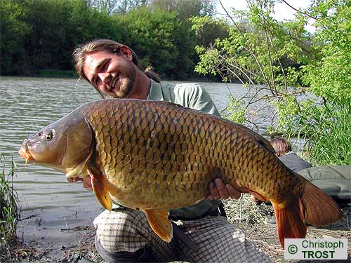 Zur�ck zu Karpfen 2005