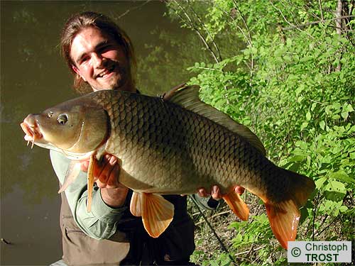 Zur�ck zu Karpfen 2005