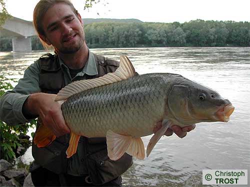 Zur�ck zu Karpfen 2005