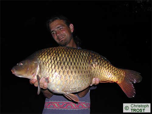 Zur�ck zu Karpfen 2005