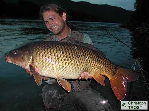 Zur�ck zu Karpfen 2005