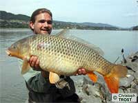 Karpfen 2005