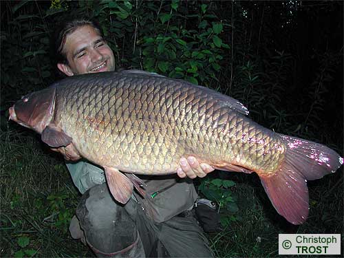 Zur�ck zu Karpfen 2005