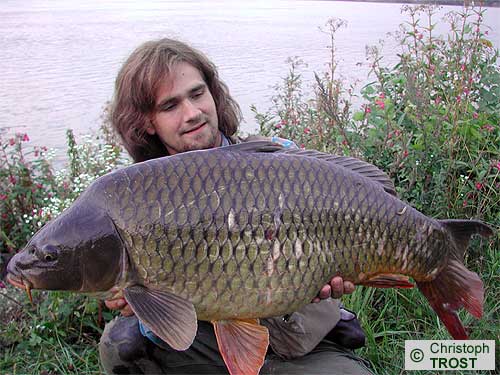 Zur�ck zu Karpfen 2005