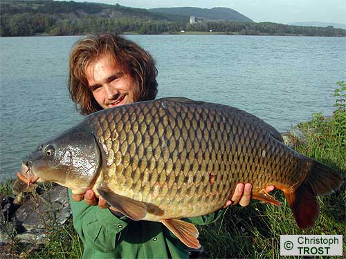 Zur�ck zu Karpfen 2005