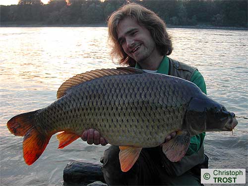 Zur�ck zu Karpfen 2005