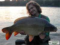 Karpfen 2005