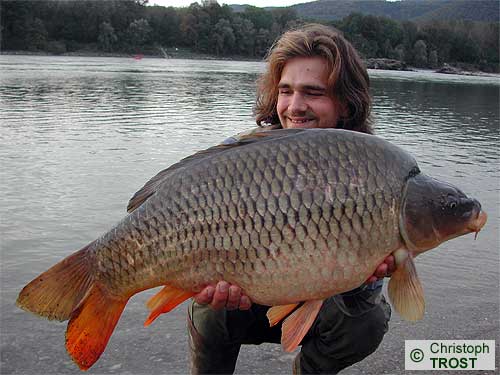 Zur�ck zu Karpfen 2005