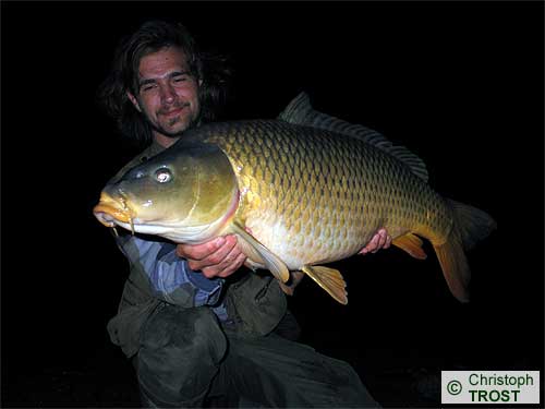 Zur�ck zu Karpfen 2005