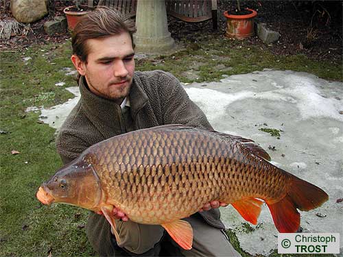 Zur�ck zu Karpfen 2006