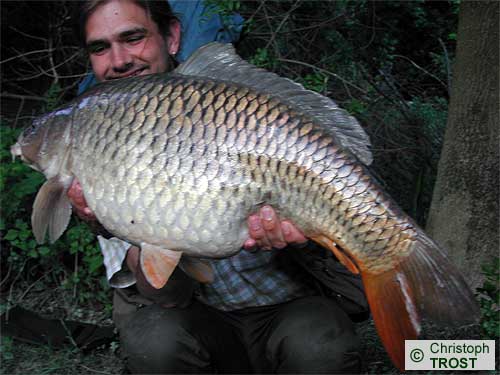 Zur�ck zu Karpfen 2006