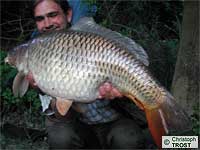 Karpfen 2006