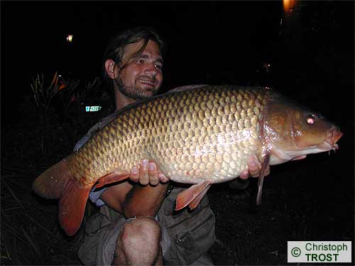 Zur�ck zu Karpfen 2006